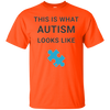 Image of Autism Awareness: This Is What Autism Looks Like T-Shirt