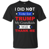 Image of "I Did Not Vote For Trump" T-Shirt