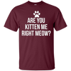 Image of Are You Kitten Me Right Meow Funny Cat Lovers T-Shirt