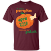 Image of April 2018 Little Pumpkin Pregnancy Announcement Shirt Gift