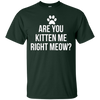 Image of Are You Kitten Me Right Meow Funny Cat Lovers T-Shirt