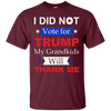 Image of "I Did Not Vote For Trump" T-Shirt