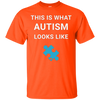 Image of Autism Awareness: This Is What Autism Looks Like T-Shirt