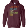 Image of Absolutely Awesome Since September 2008 10th Birthday Shirt