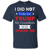 Image of "I Did Not Vote For Trump" T-Shirt