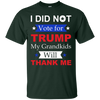 Image of "I Did Not Vote For Trump" T-Shirt