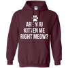 Image of Are You Kitten Me Right Meow Funny Cat Lovers T-Shirt