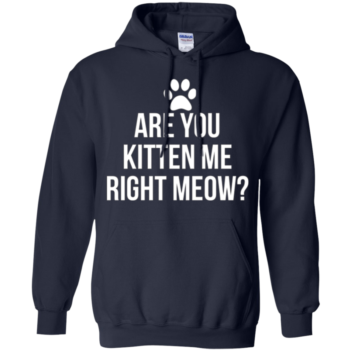 Are You Kitten Me Right Meow Funny Cat Lovers T-Shirt