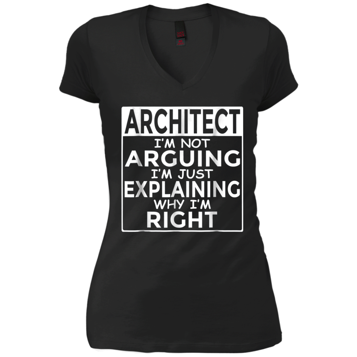 Architect I'm Not Arguing Just Explaining Why I'm Right