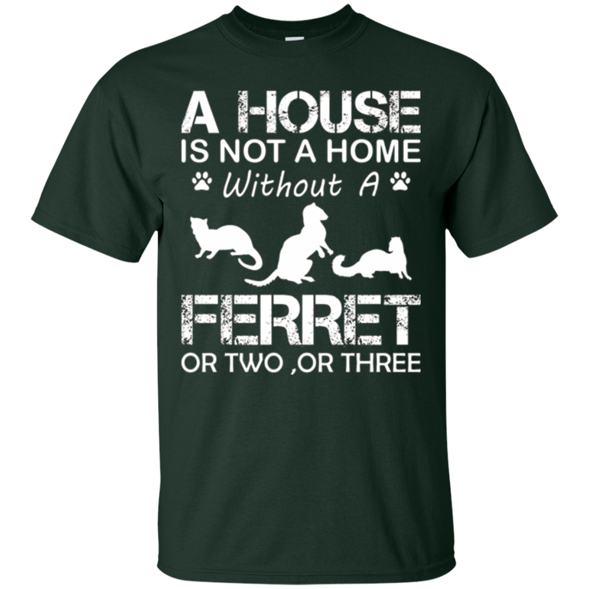 A House Is Not A Home Without A Ferret T-shirt