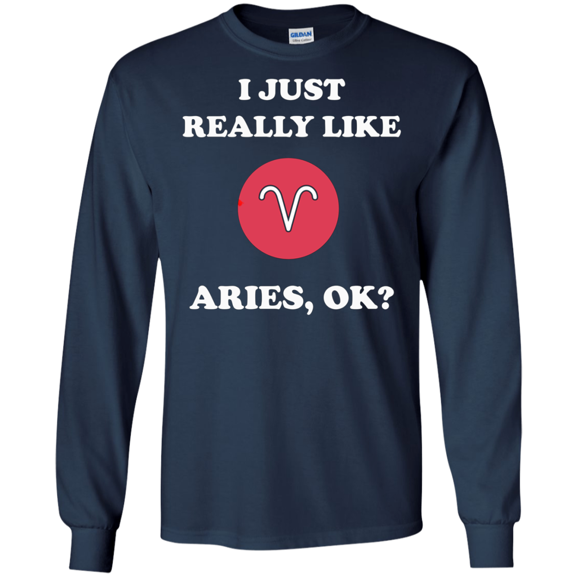 Aries Zodiac T-Shirt Funny Saying Shirts for Men Women Gift