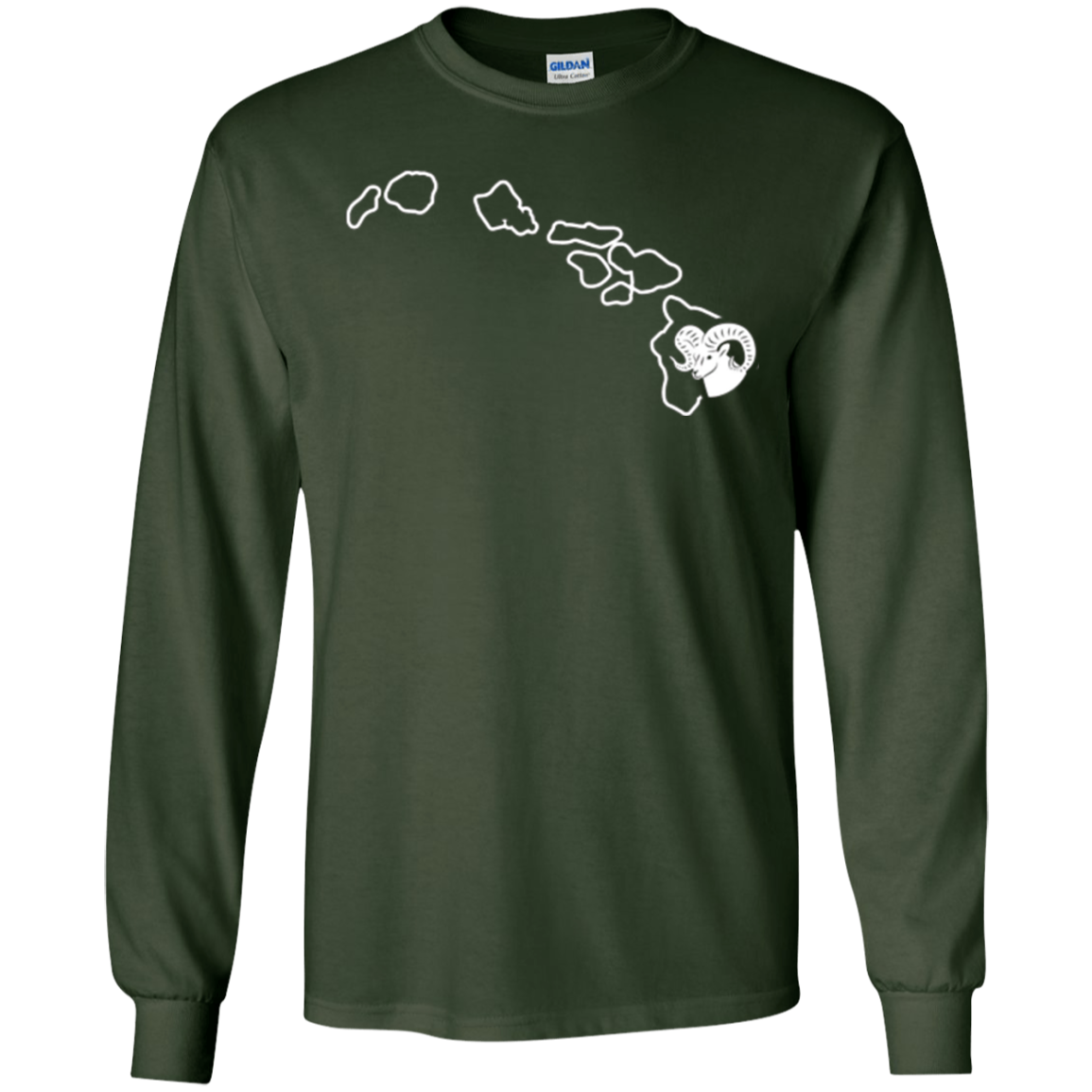 Bighorn Sheep Hunting Hawaii Big Game Hunting