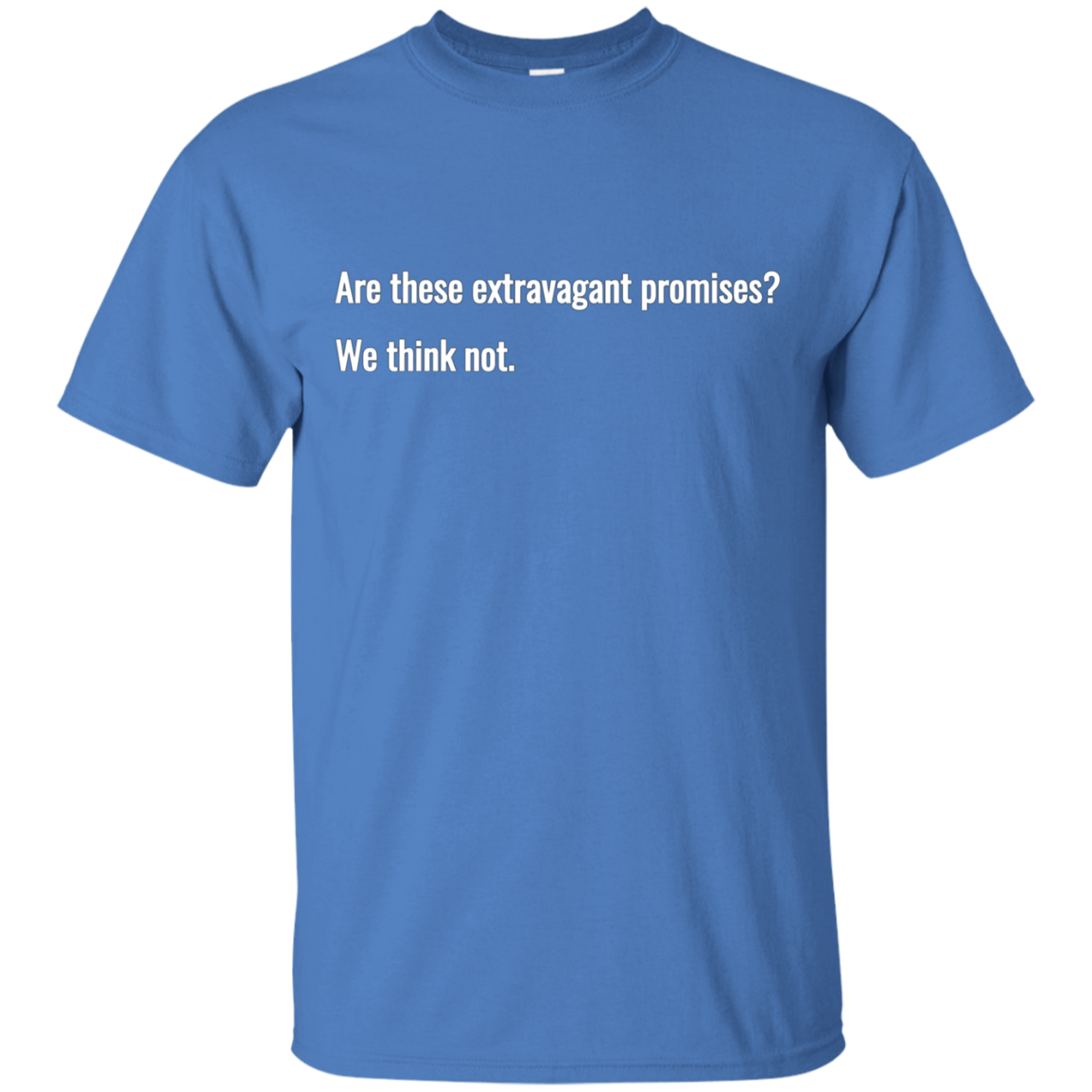 Are these extravagant promises? We think not. T Shirt