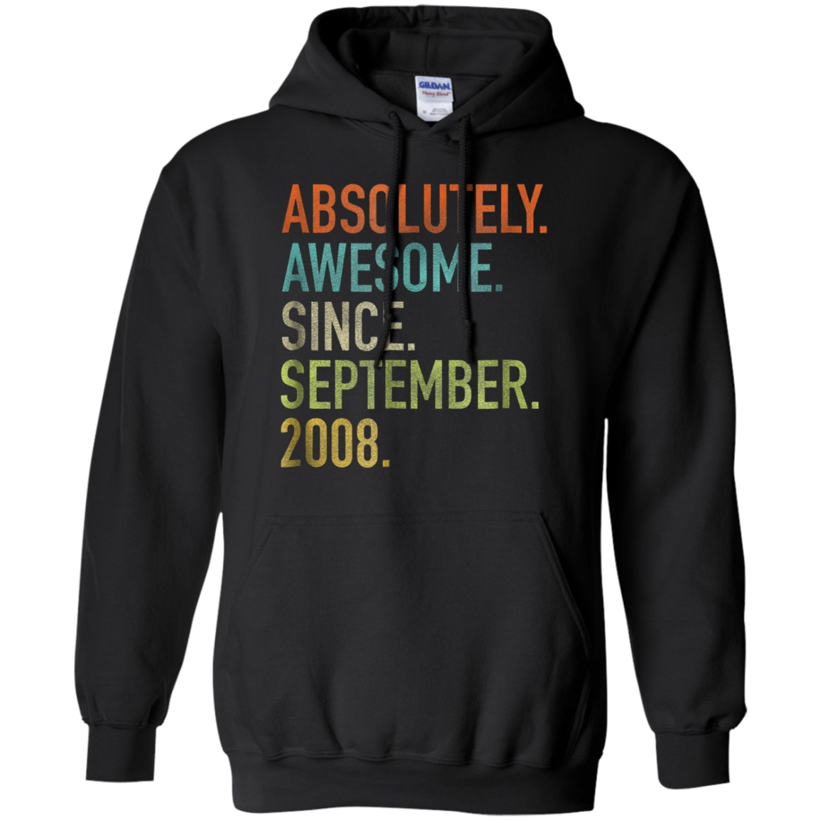 Absolutely Awesome Since September 2008 10th Birthday Shirt