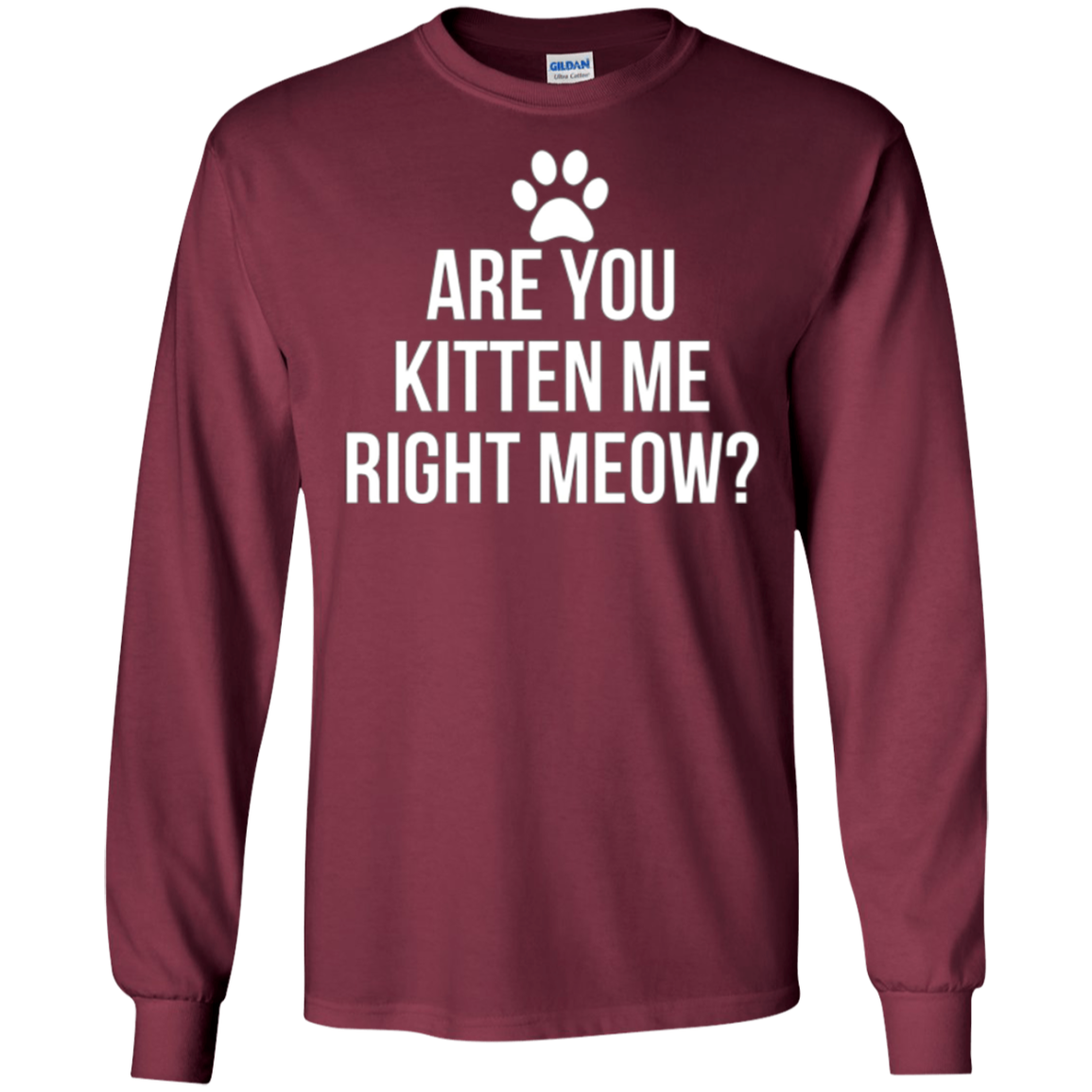 Are You Kitten Me Right Meow Funny Cat Lovers T-Shirt
