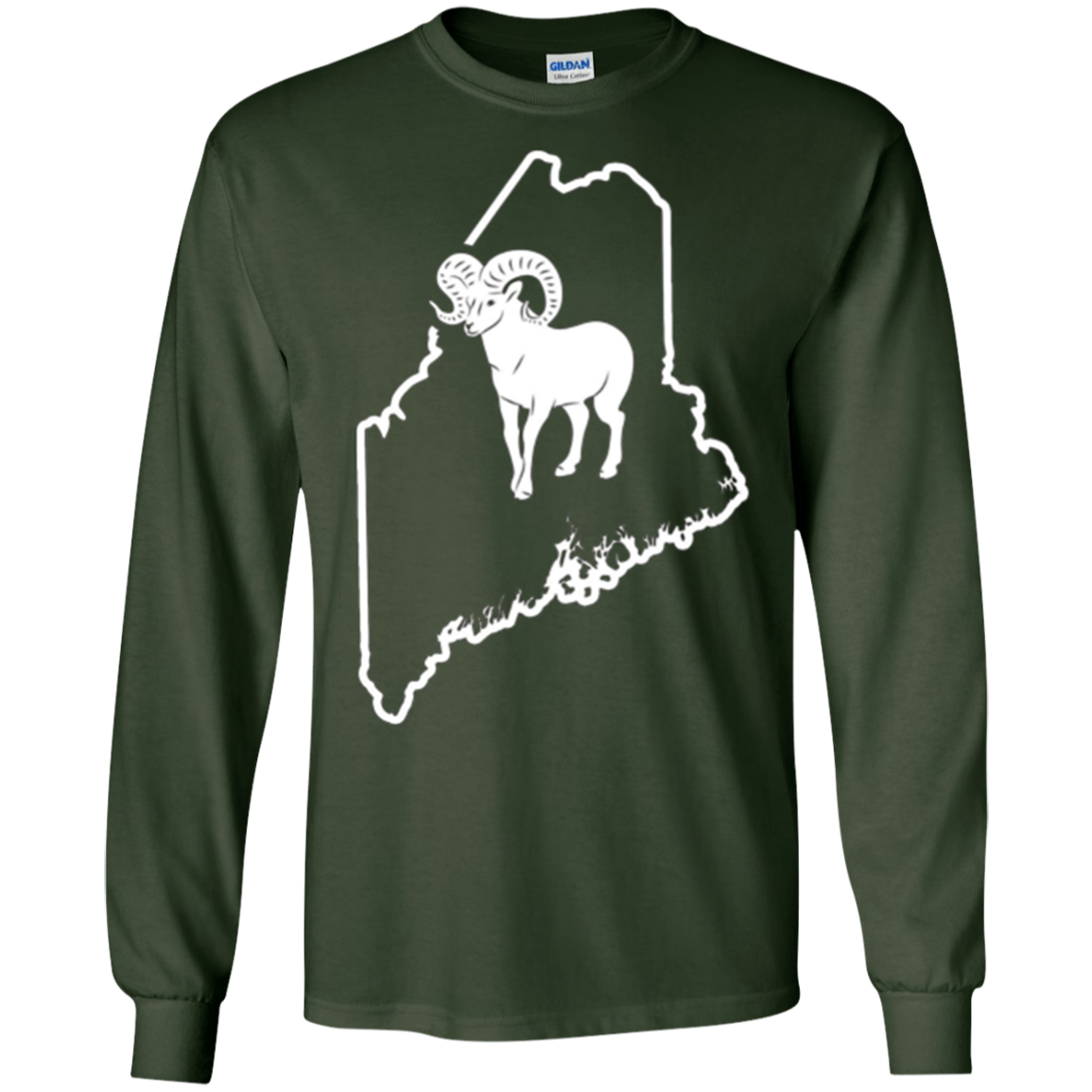 Bighorn Sheep Hunting Maine Big Horned Sheep Antler