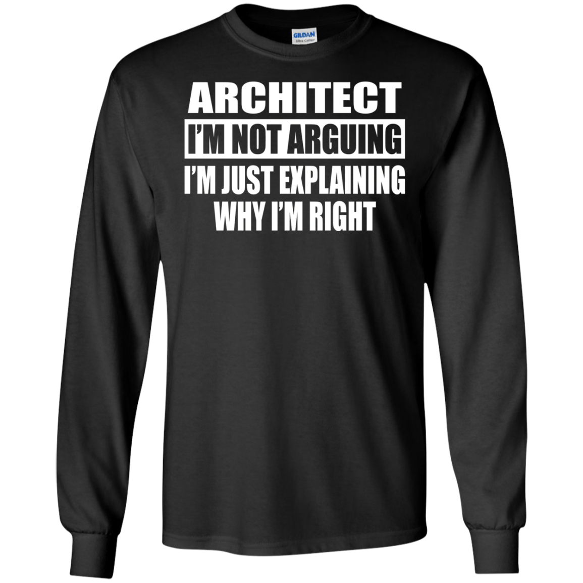 Architect I'm Not Arguing T-Shirt