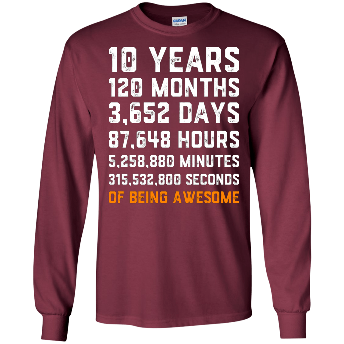 10th Birthday Gift T Shirt 10 Years Old Being Awesome Tee