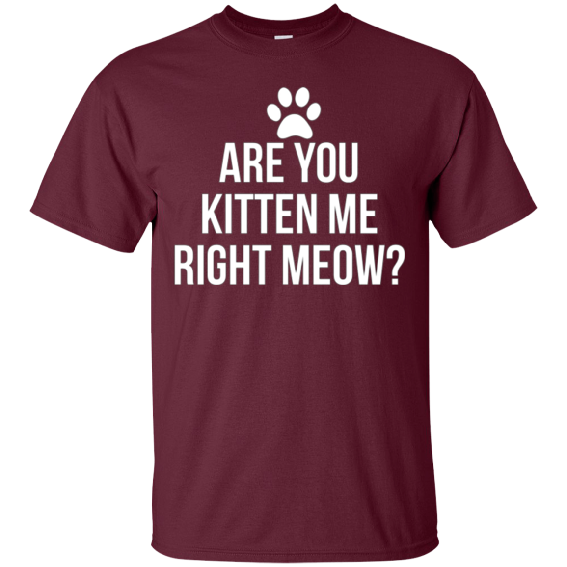 Are You Kitten Me Right Meow Funny Cat Lovers T-Shirt