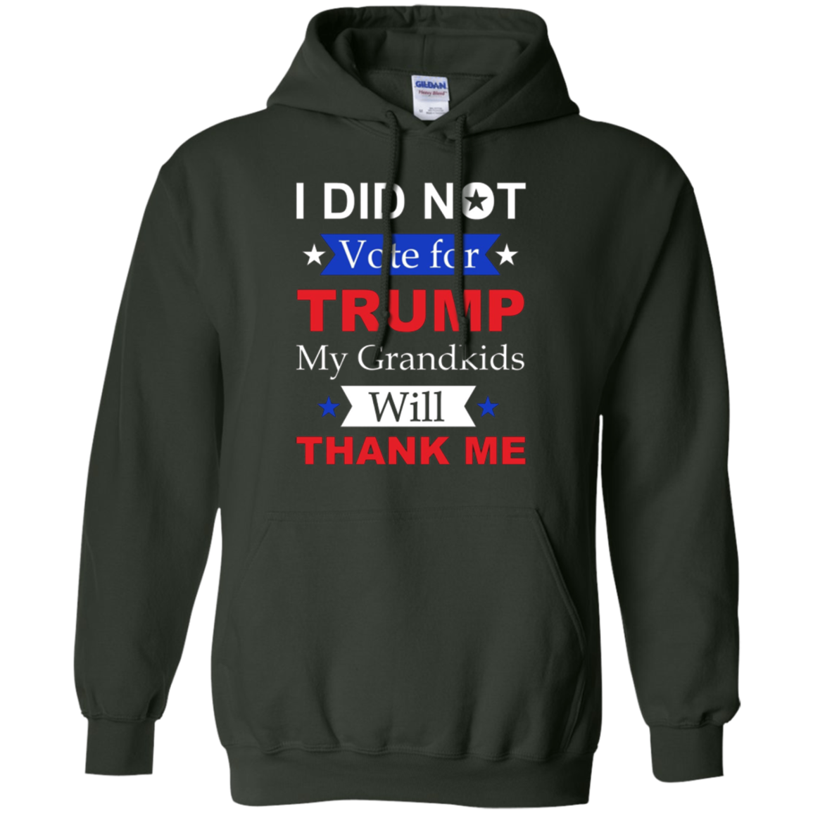 "I Did Not Vote For Trump" T-Shirt