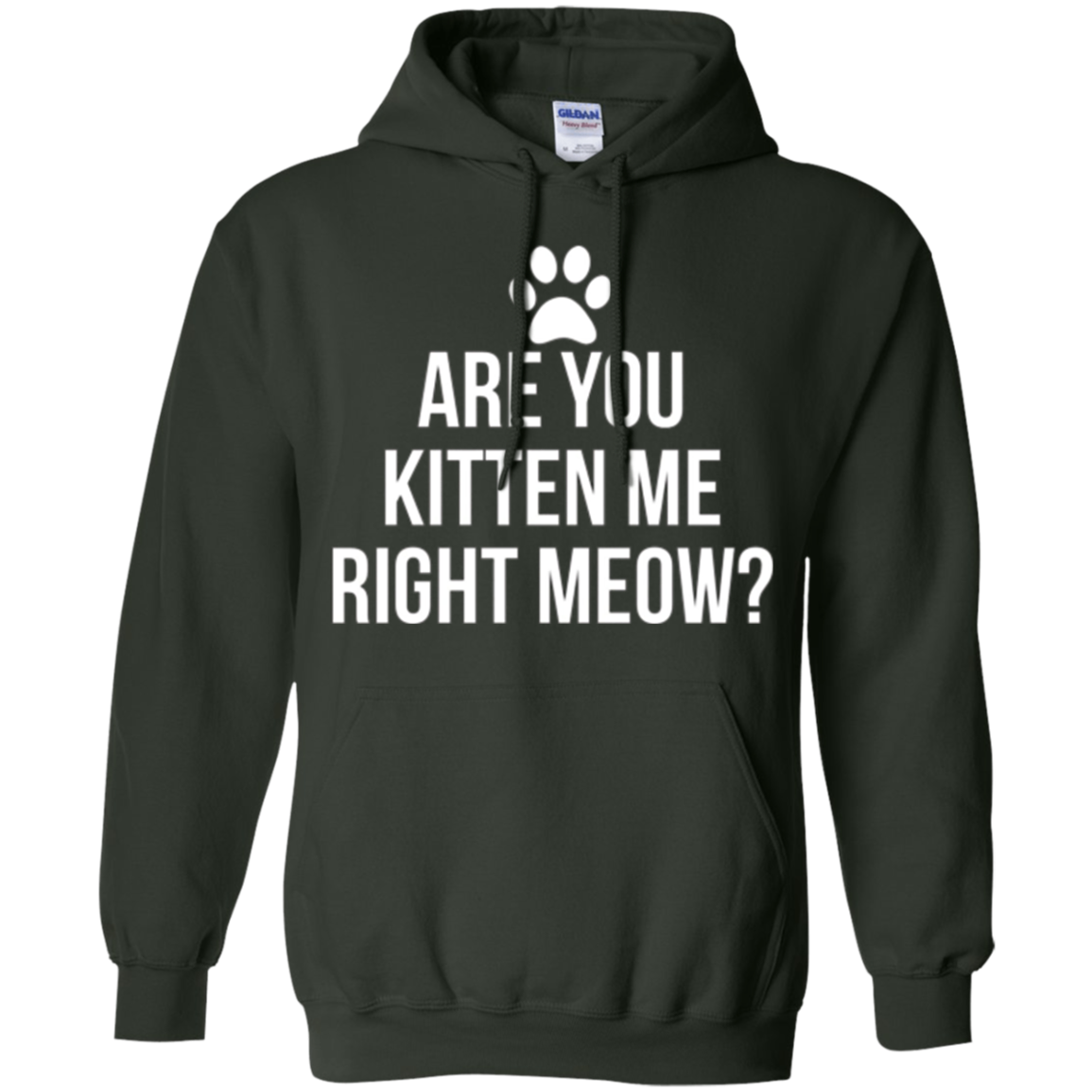 Are You Kitten Me Right Meow Funny Cat Lovers T-Shirt