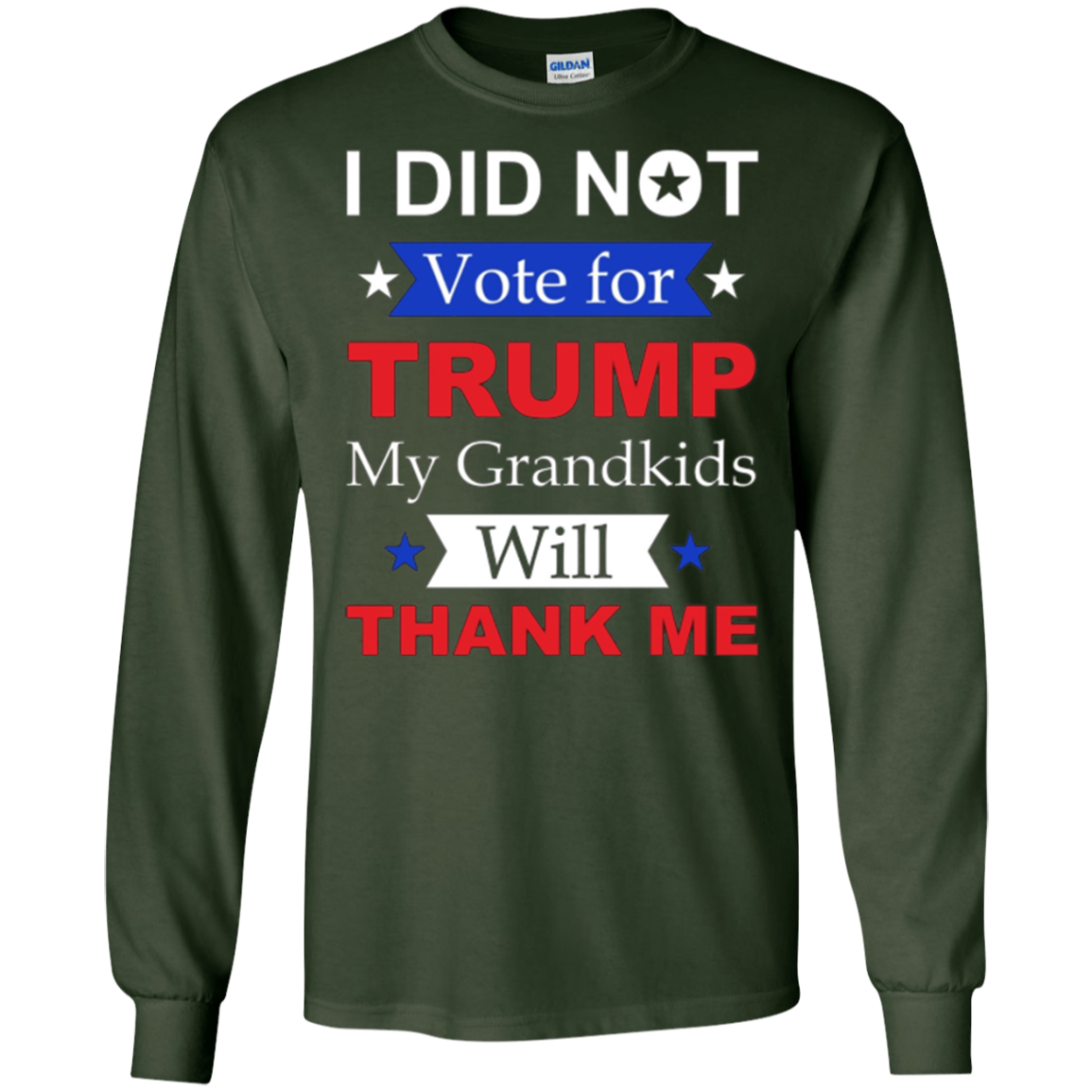 "I Did Not Vote For Trump" T-Shirt