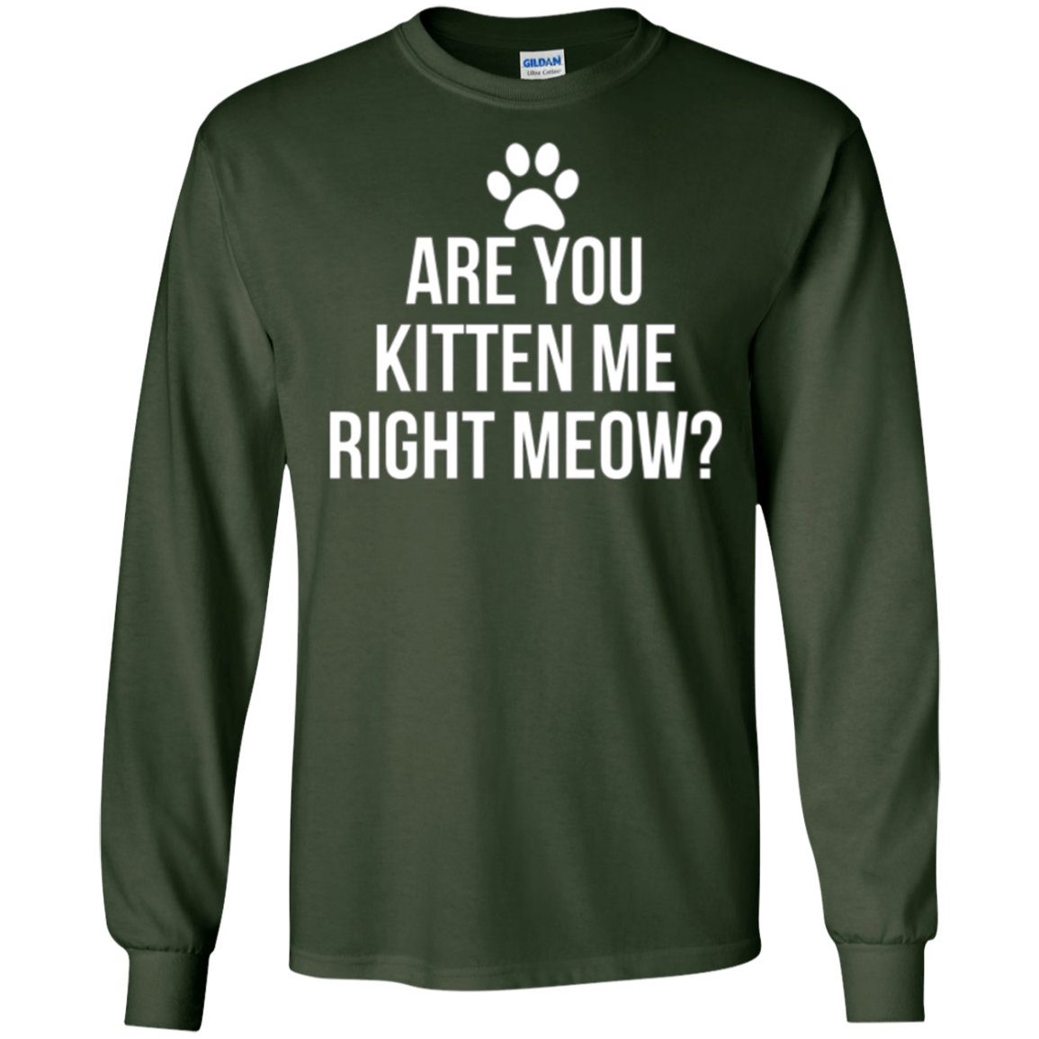 Are You Kitten Me Right Meow Funny Cat Lovers T-Shirt