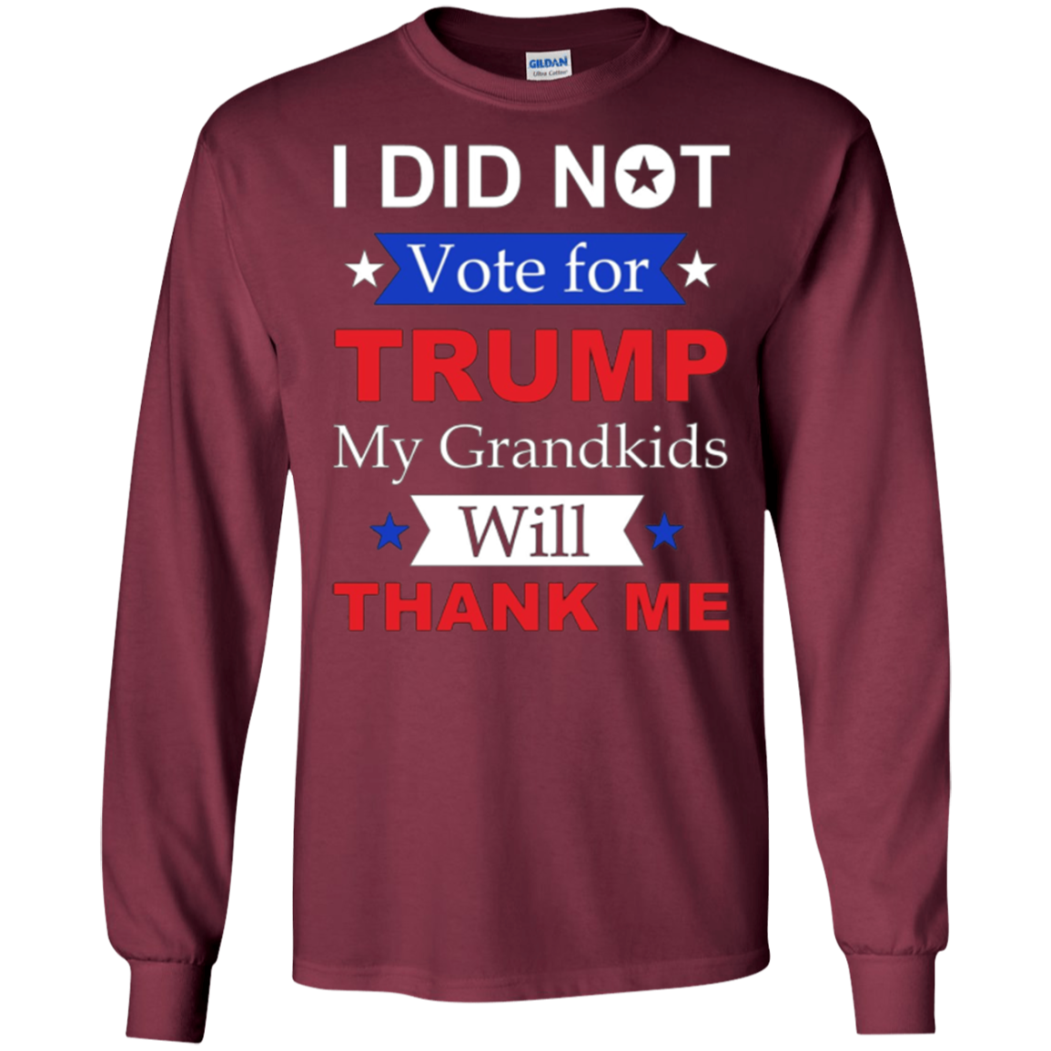 "I Did Not Vote For Trump" T-Shirt
