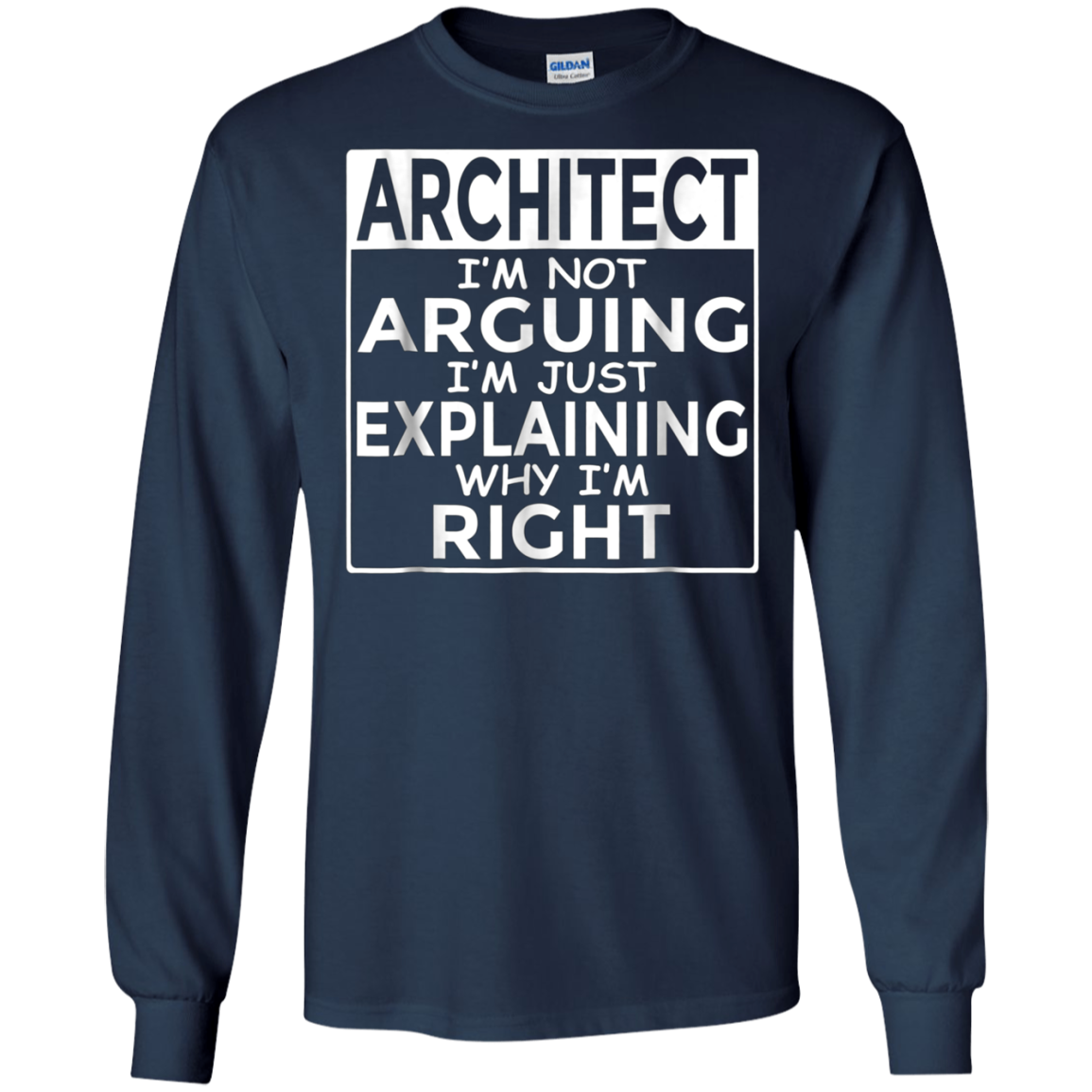 Architect I'm Not Arguing Just Explaining Why I'm Right