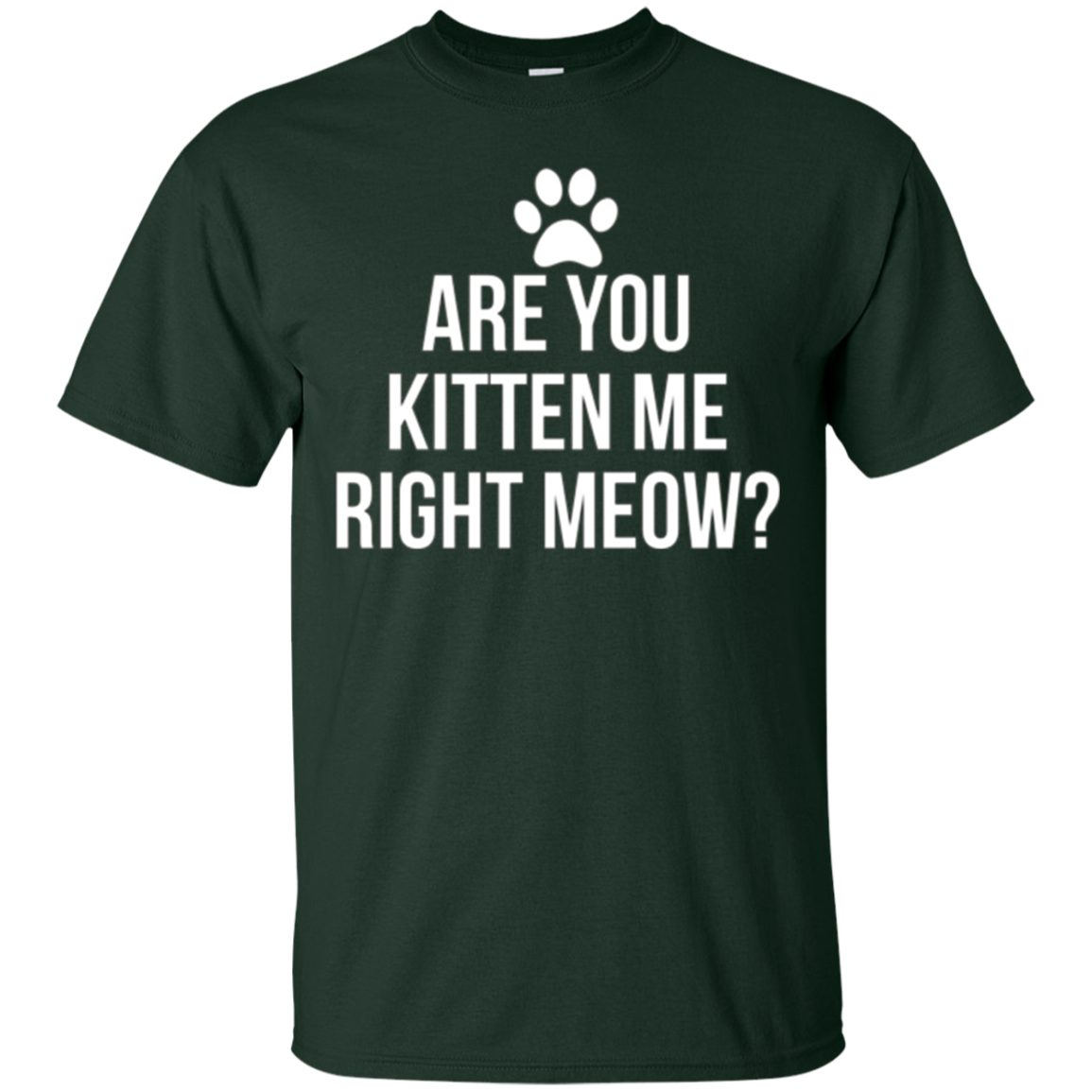 Are You Kitten Me Right Meow Funny Cat Lovers T-Shirt