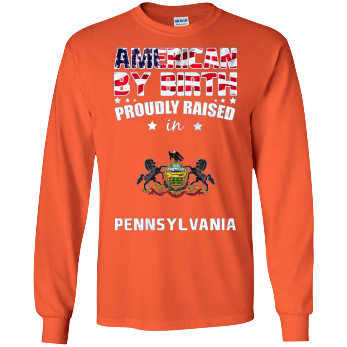 American By Birth Proudly Raised In Pennsylvania Flag Shirt