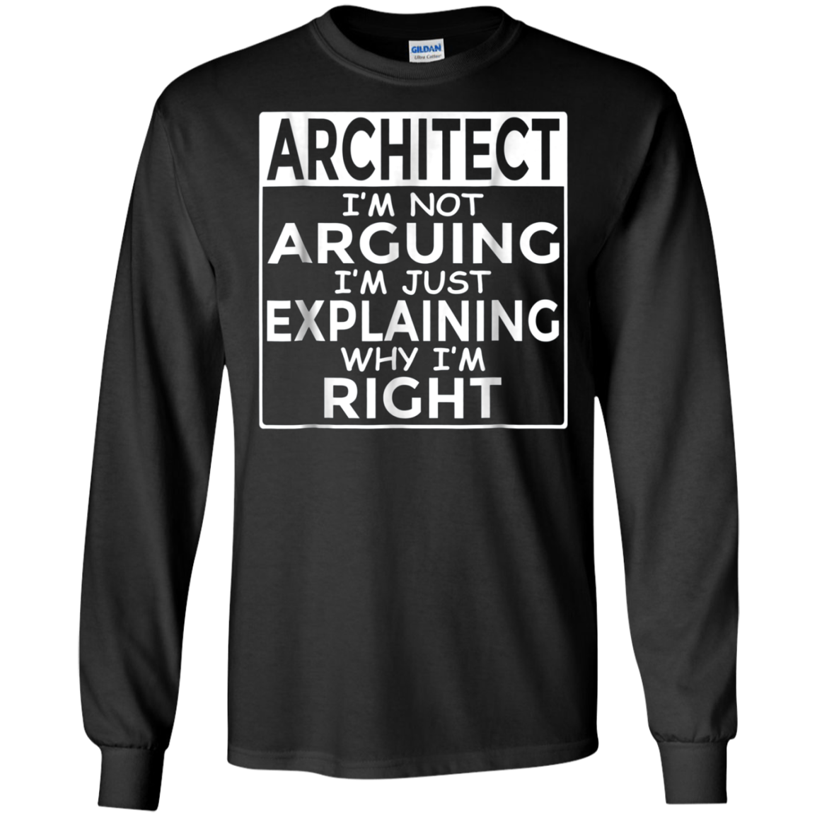 Architect I'm Not Arguing Just Explaining Why I'm Right