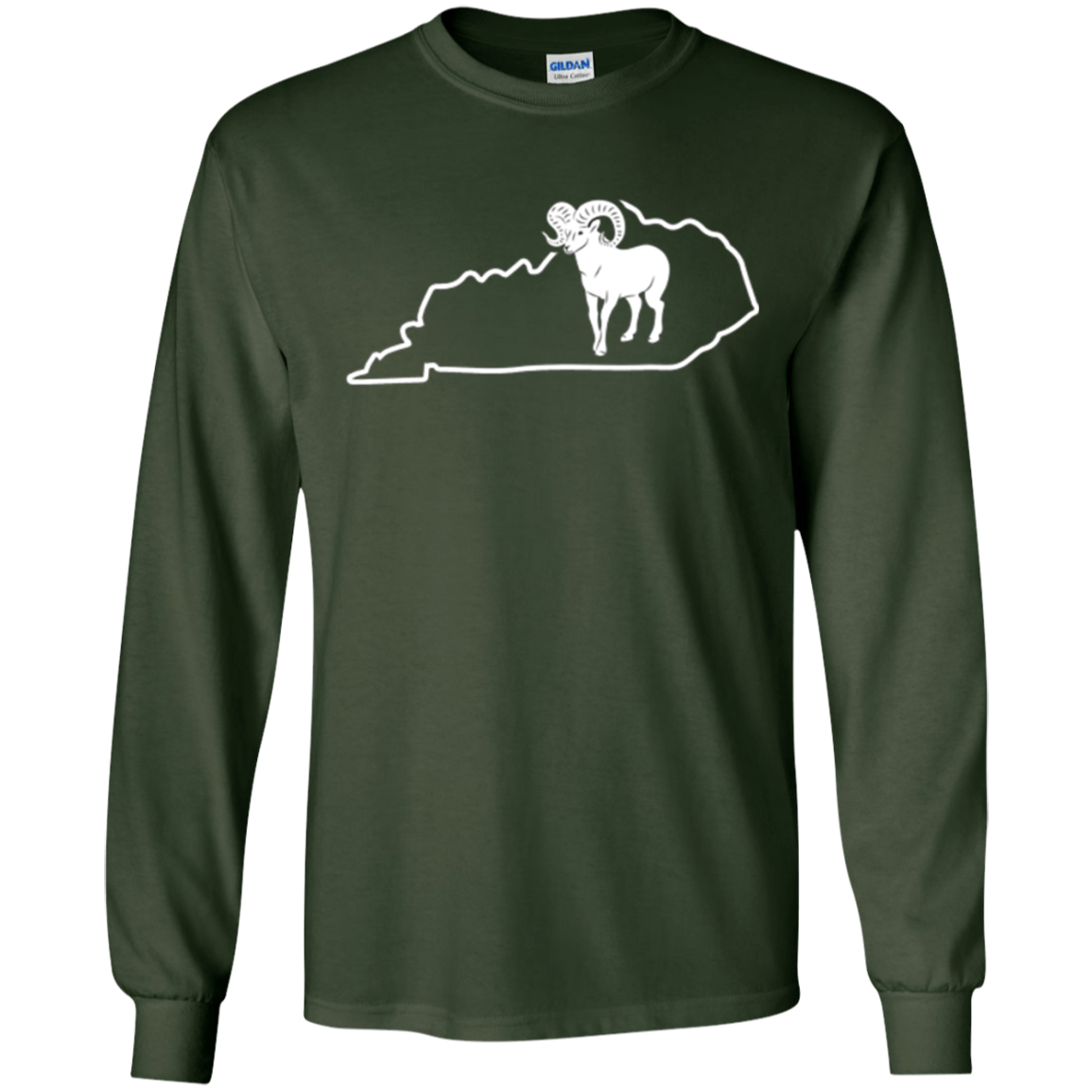 Bighorn Sheep Hunting Kentucky Big Horned Sheep Antler