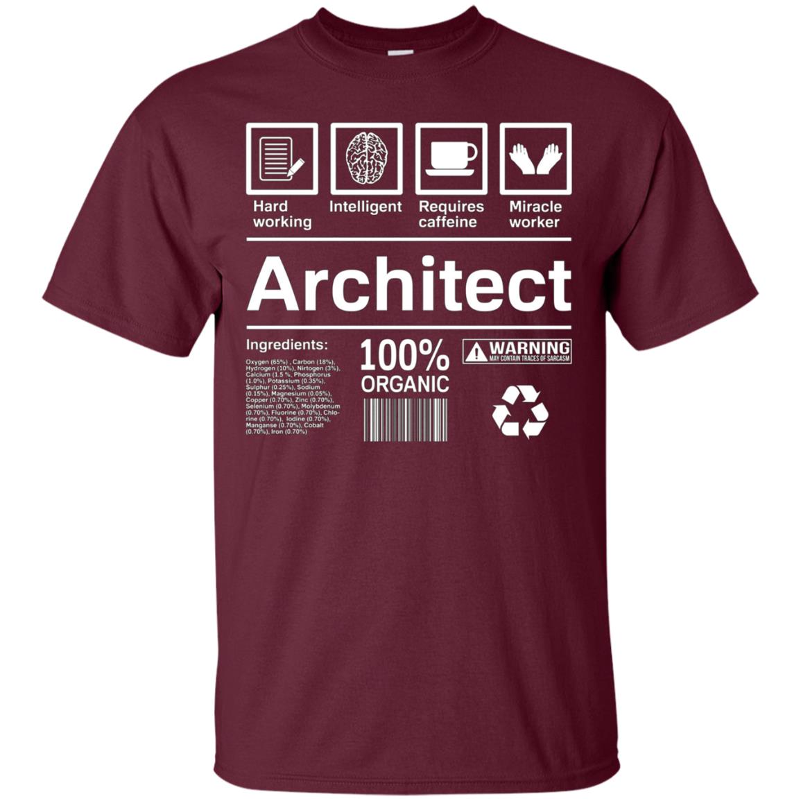 Architect T-Shirt Gift