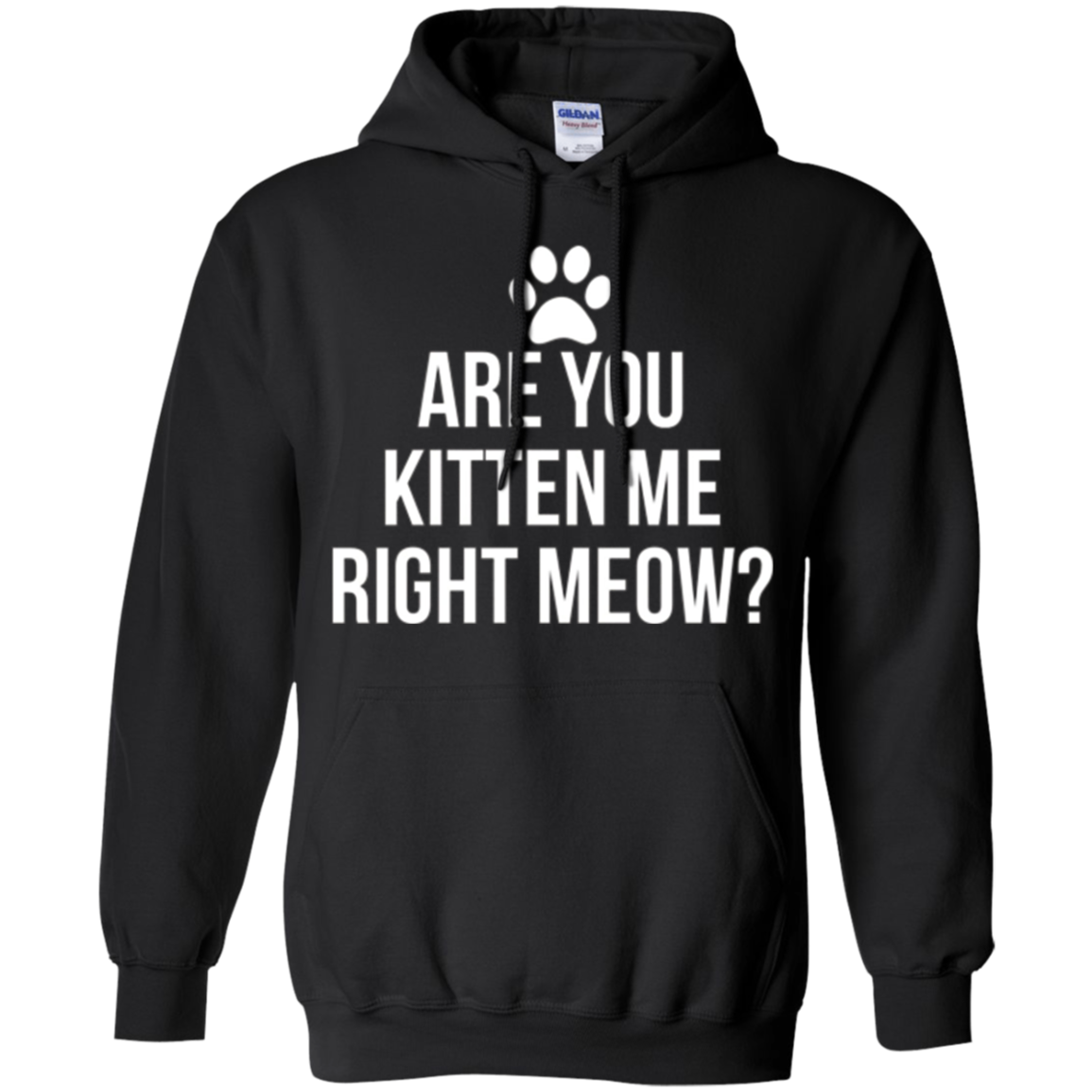 Are You Kitten Me Right Meow Funny Cat Lovers T-Shirt