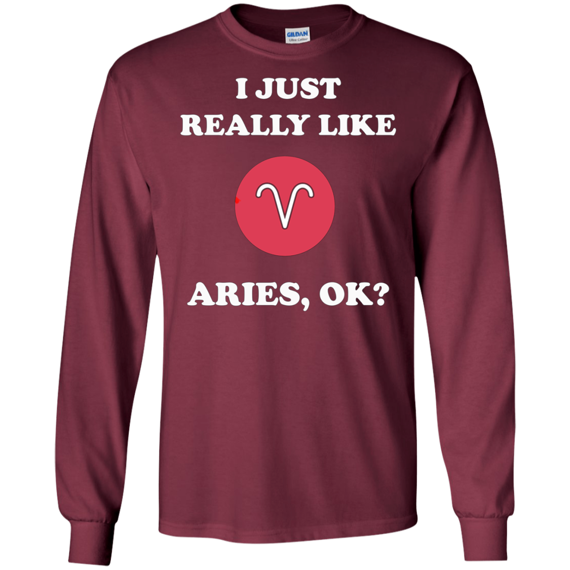 Aries Zodiac T-Shirt Funny Saying Shirts for Men Women Gift