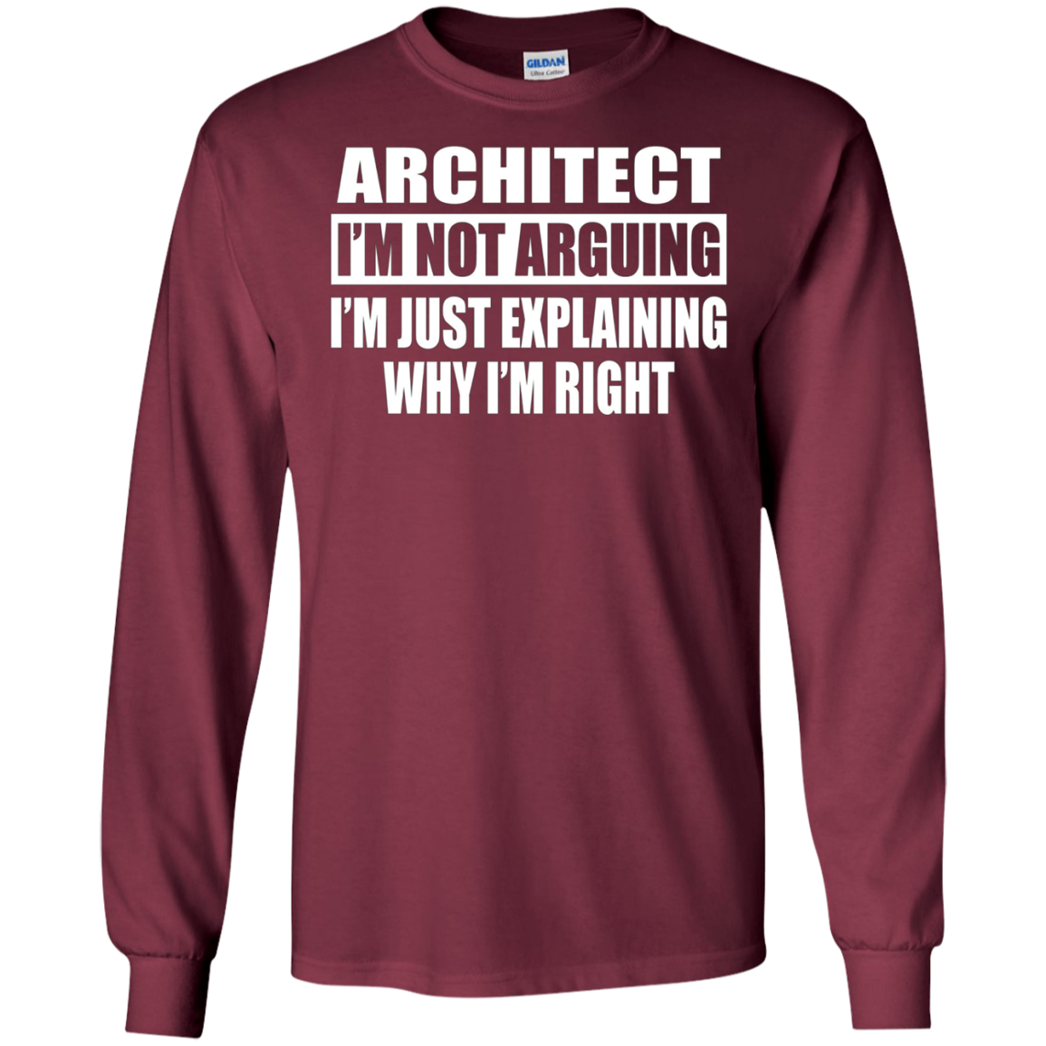 Architect I'm Not Arguing T-Shirt