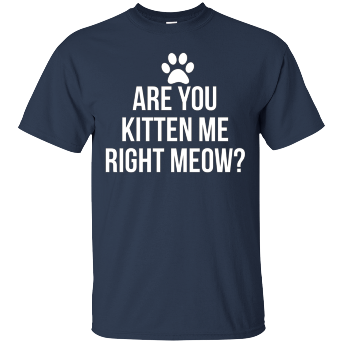 Are You Kitten Me Right Meow Funny Cat Lovers T-Shirt