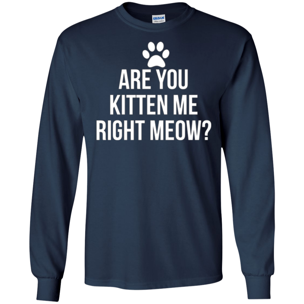 Are You Kitten Me Right Meow Funny Cat Lovers T-Shirt