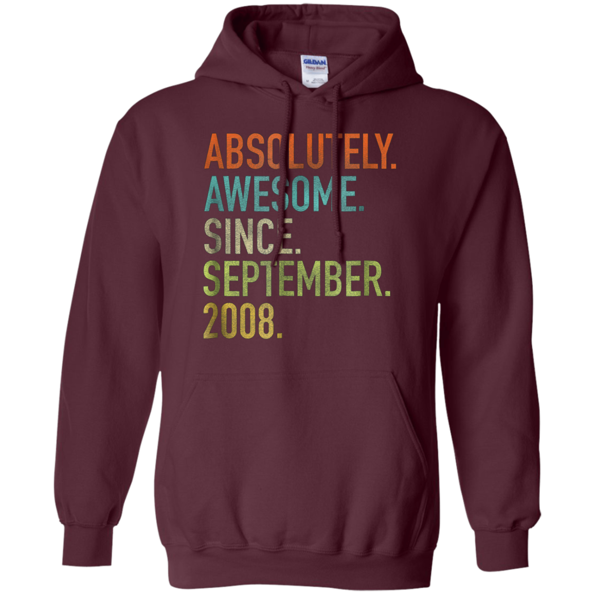 Absolutely Awesome Since September 2008 10th Birthday Shirt