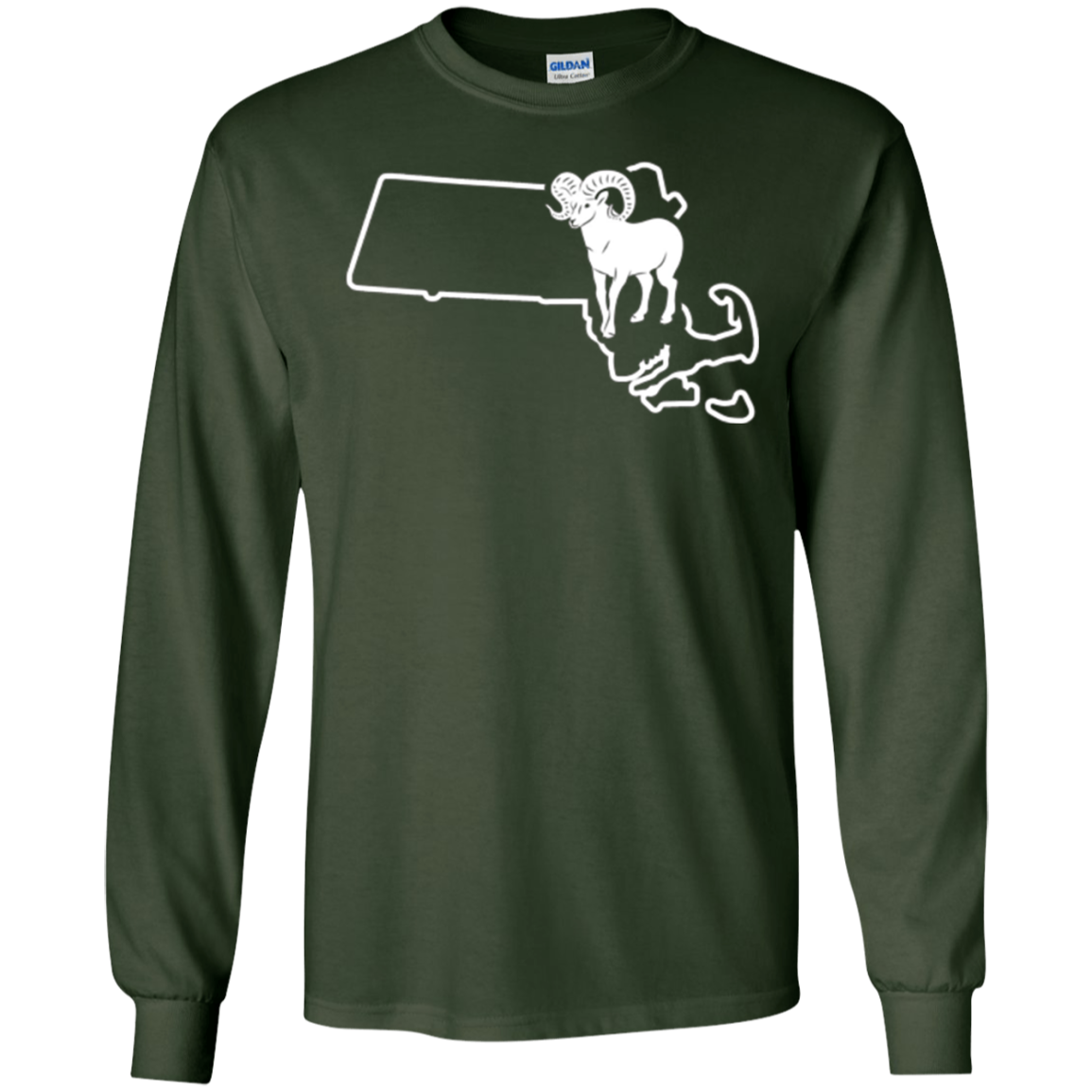 Bighorn Sheep Hunting Massachusetts Big Horned Sheep Antler