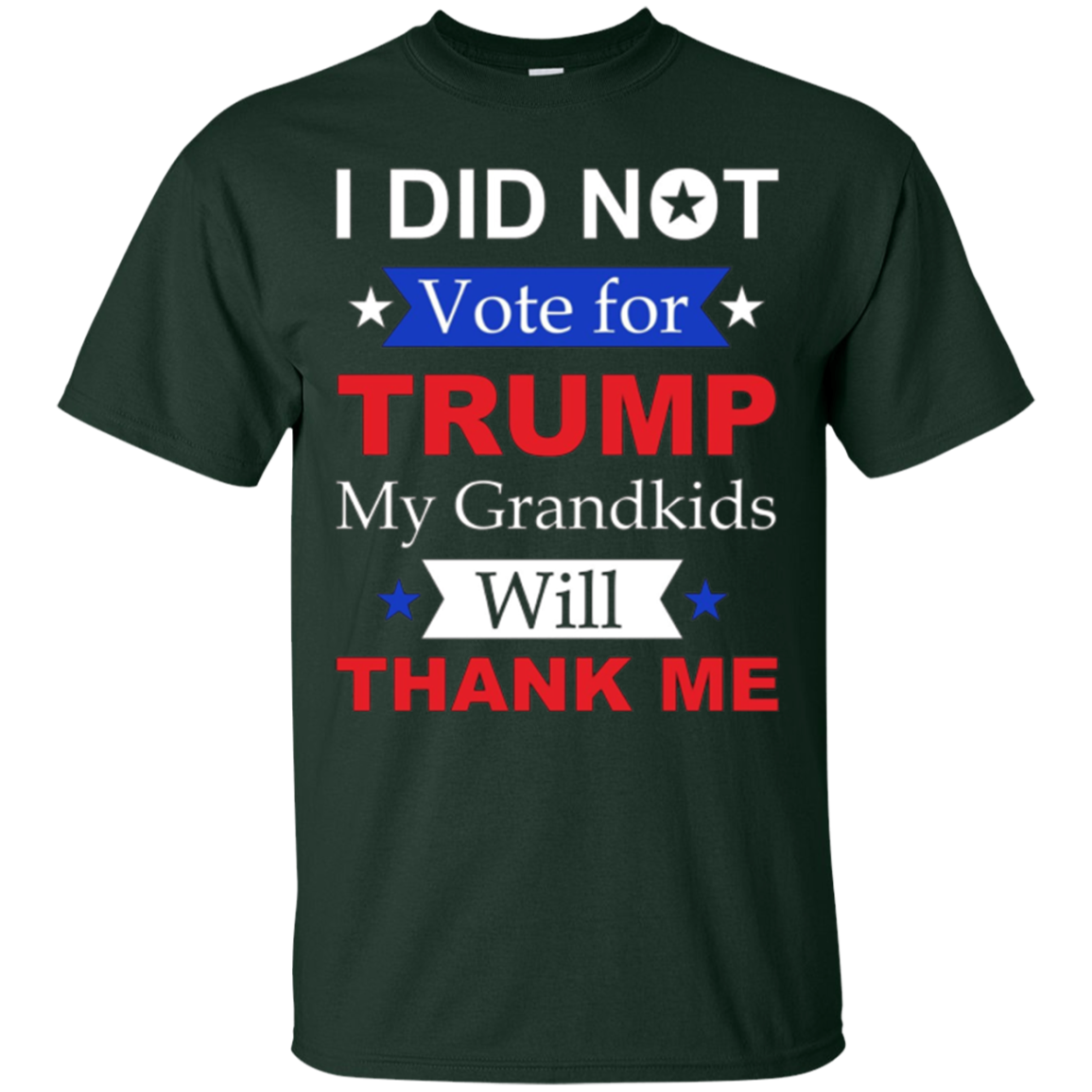 "I Did Not Vote For Trump" T-Shirt