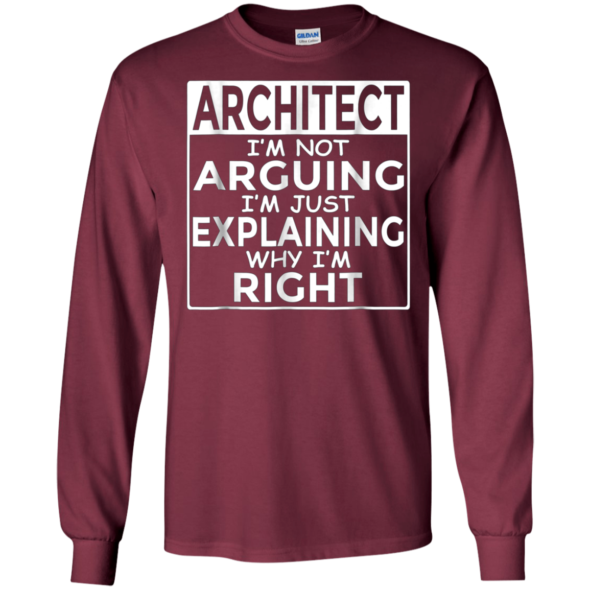 Architect I'm Not Arguing Just Explaining Why I'm Right