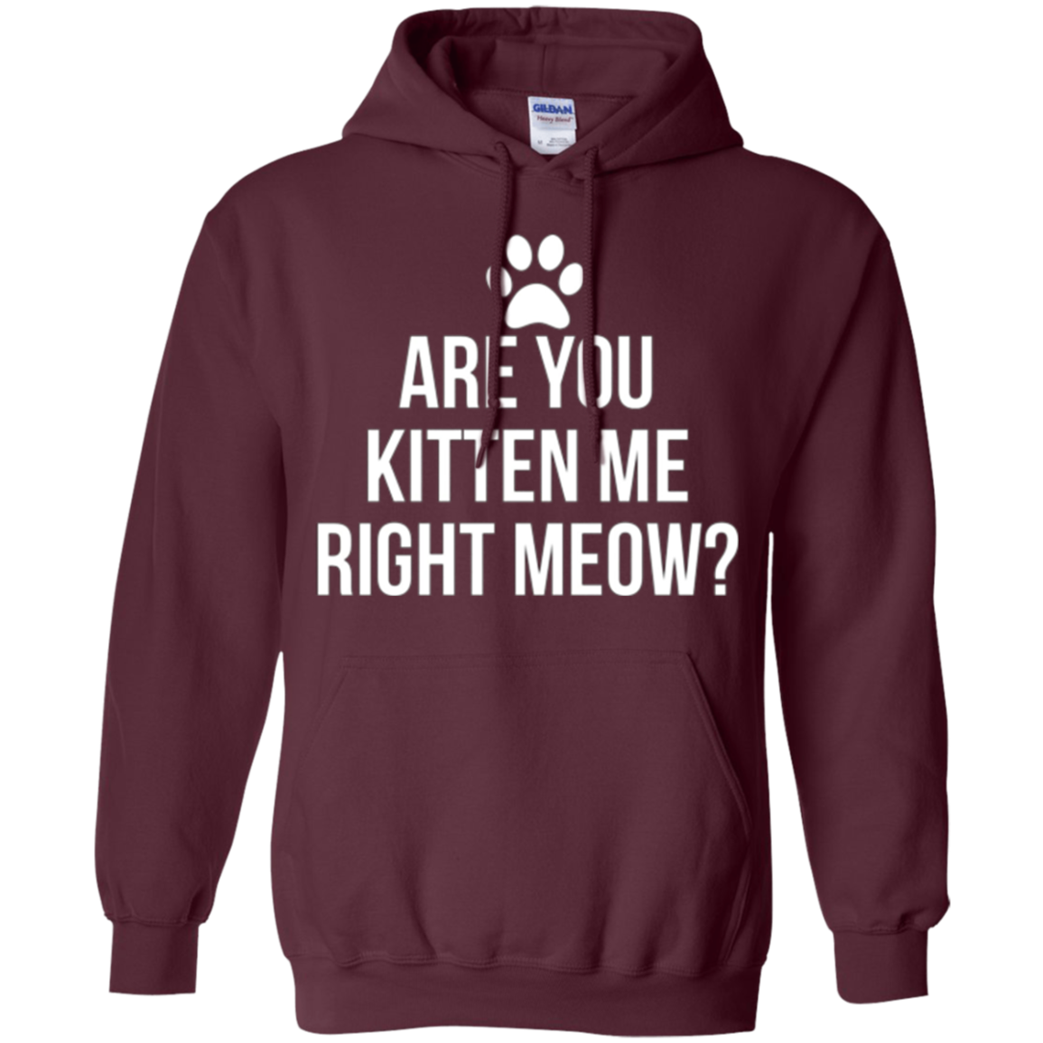 Are You Kitten Me Right Meow Funny Cat Lovers T-Shirt