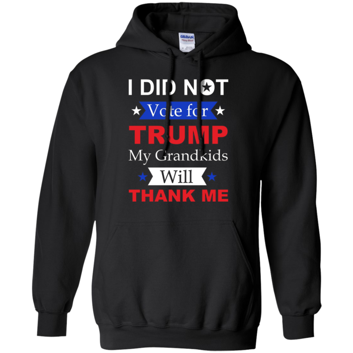 "I Did Not Vote For Trump" T-Shirt